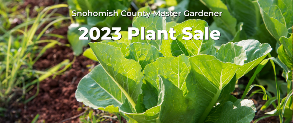 Snohomish County Plant Sale Master Gardener Foundation Of Washington