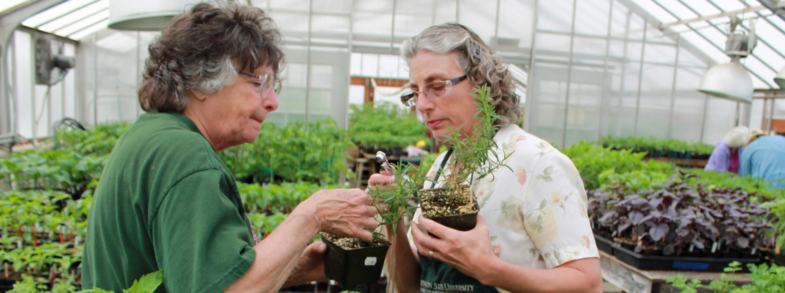Two women examining plants in greenhouse.