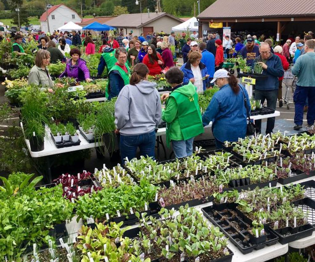 Shoppers at Master Gardener plant sale.