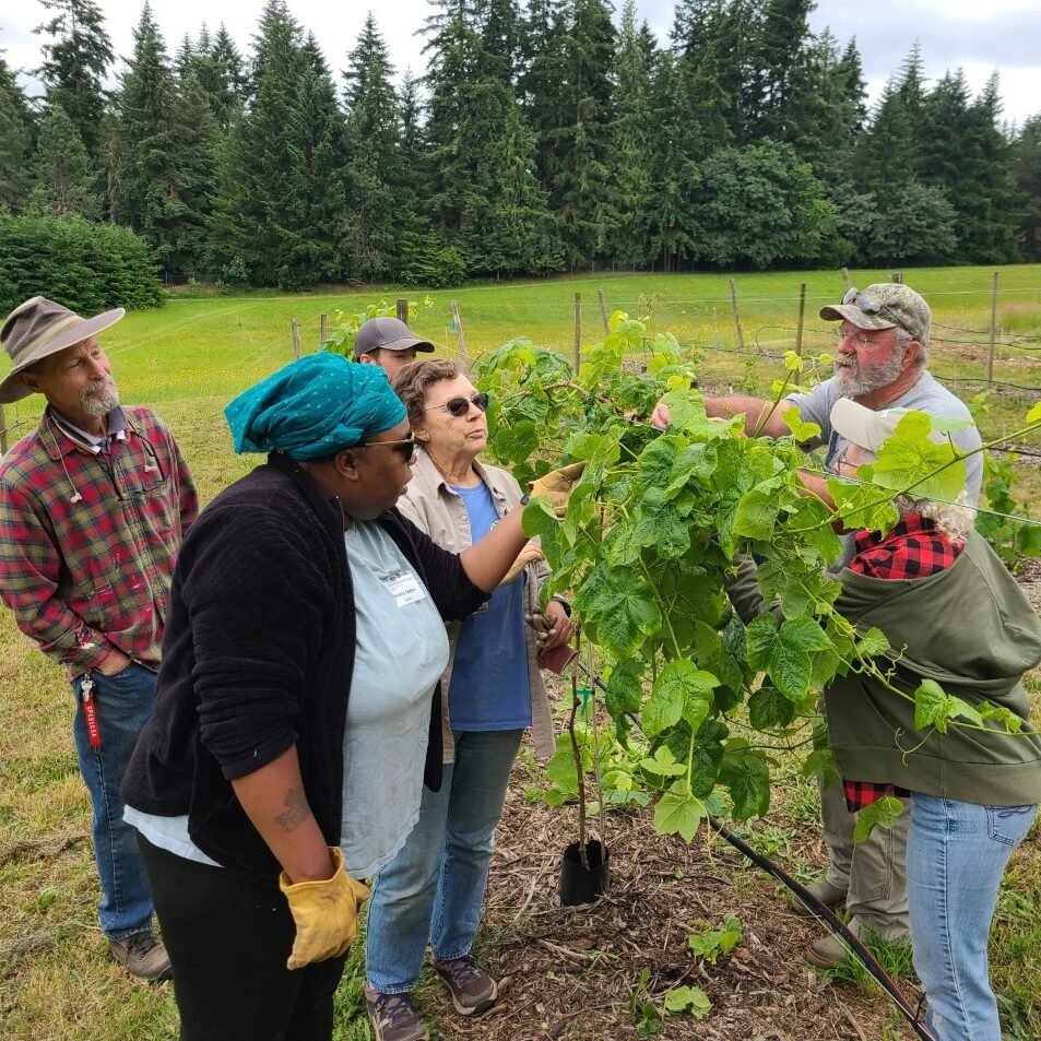 Master Gardeners teaching group about grapes.