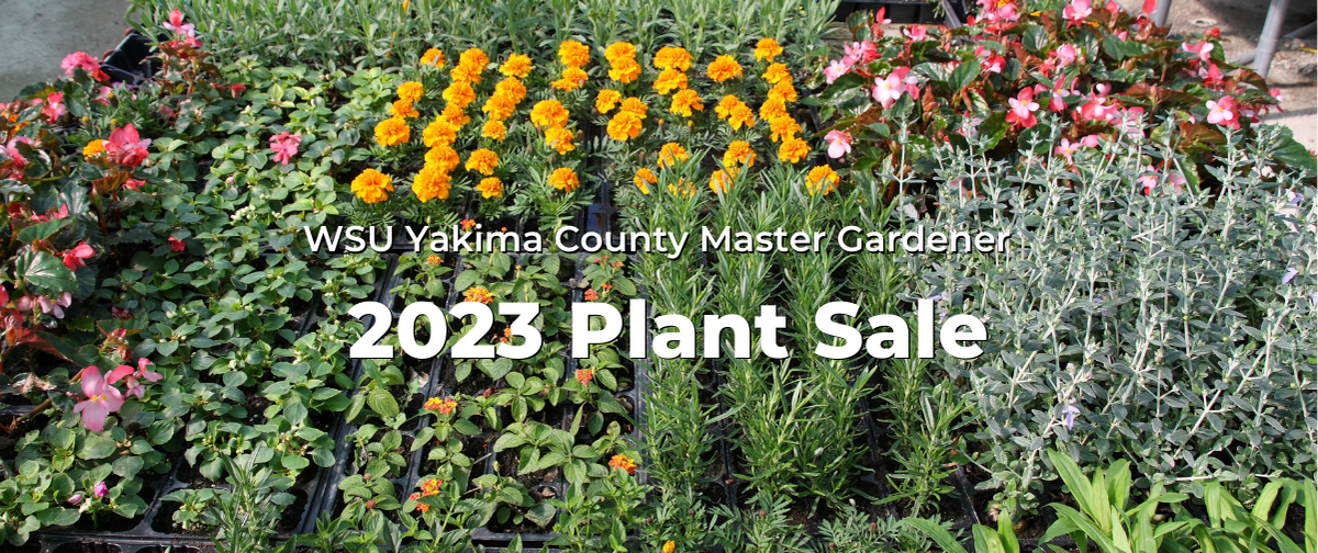 Yakima County Plant Sale Master Gardener Foundation of Washington State