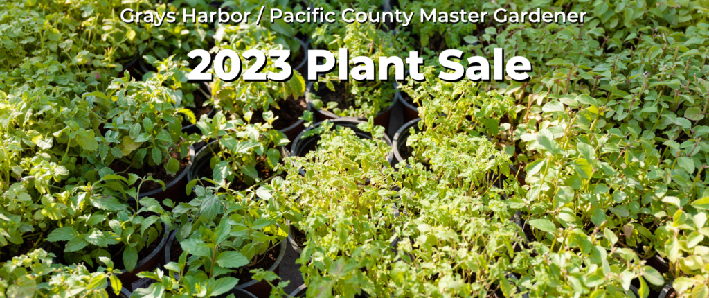 Plant sale promotional banner.