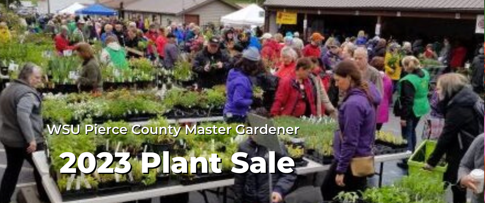 Pierce County plant sale.