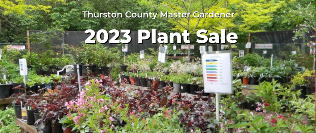 Thurston County plant sale.