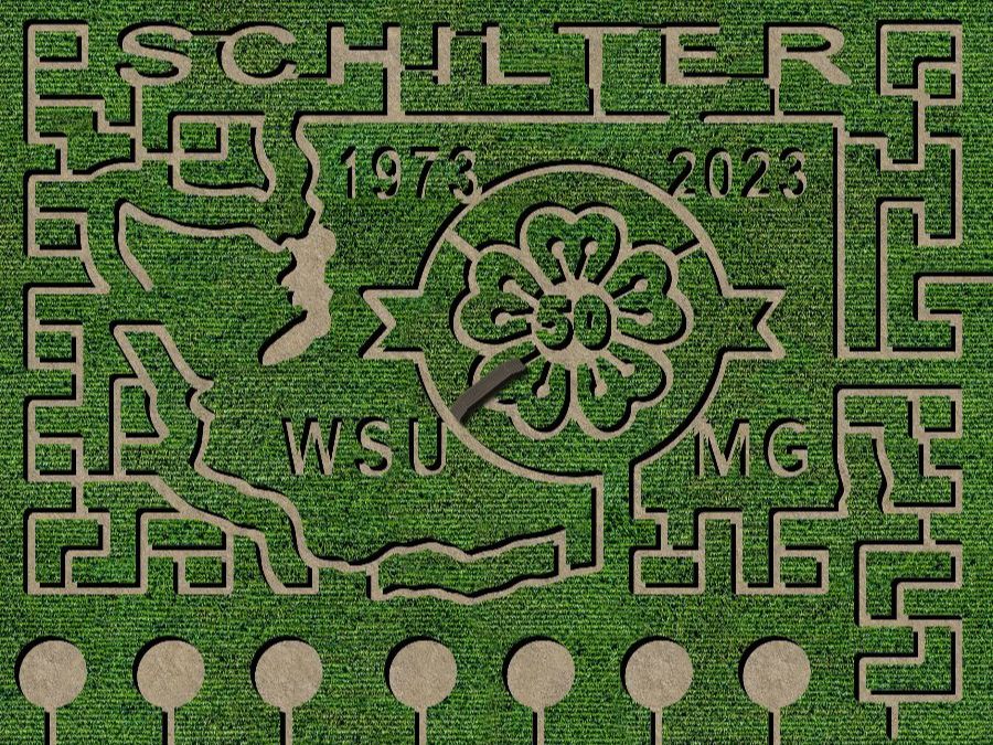 2023 Schilter Corn maze in the shape of washington state commemorating the 50th Anniversary of the WSU extension master gardener program 