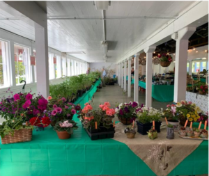 Table at plant sale.