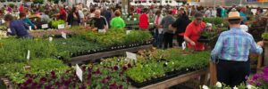 Yakima County plant sale.