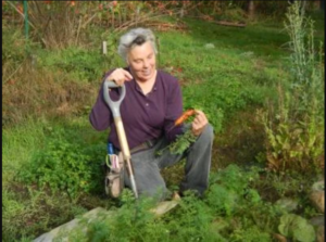 Woman harvesting carrots.