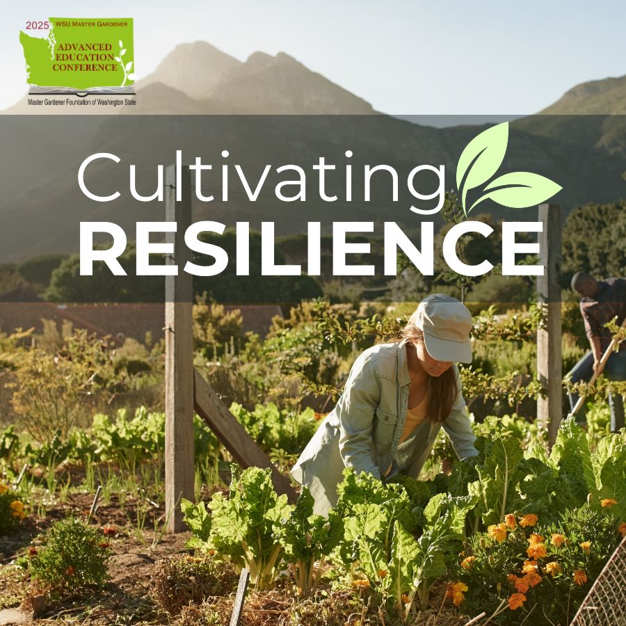 Cultivating Resilience title graphic with woman gardening.