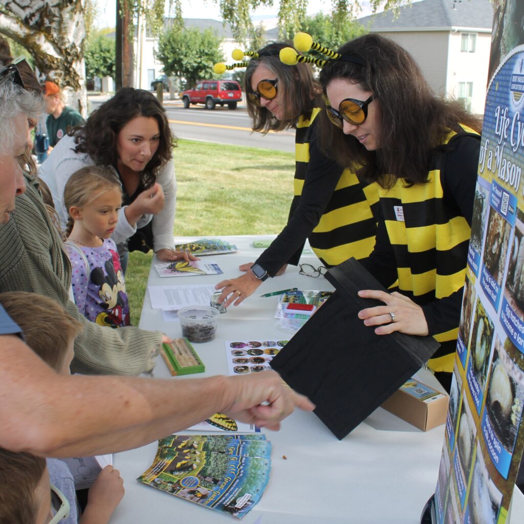 Teachers in bee costumes