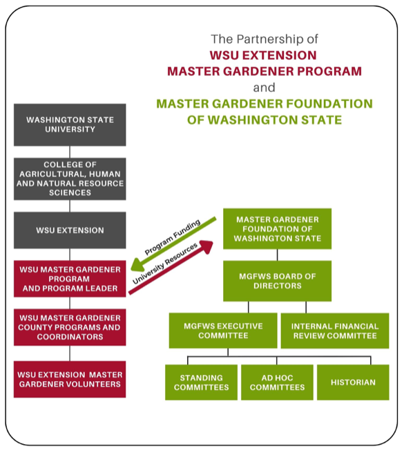 Organizational Chart Diagram showing the WSU organization on the left (WSU, CAHNRS, Extension, MG Program Leadership, County MG Programs, and MG Volunteers. On the right, State MG Foundation (MGFWS), MGFWS Board, Exec Cmte, Internal Finance Cmte, Other committees. Arrows show "Program Funding" going from MGFWS to MG Program, and "University Resources" going from MG Program to MGFWS.