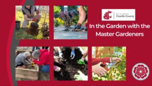 Gardeners working